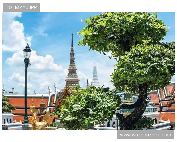 畅游澳门美高梅直营的多样活动，让你的旅行充满惊喜