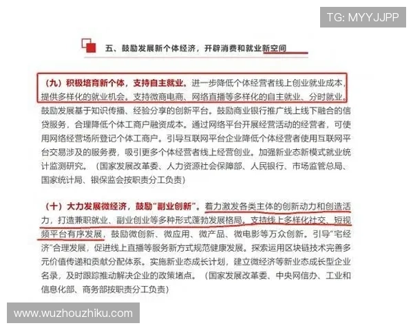 梅高美娱乐公司在泰国市场的品牌建设与用户口碑提升策略研究